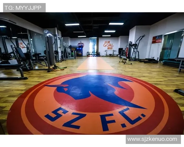 深圳排球队战术变革引发热议如何提升球队整体实力与竞技水平